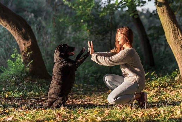 Un'addestratrice cinofila in un parco fa un esercizio di attenzione con un cane nero
